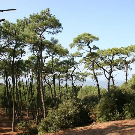 Maison Brevinoise Pour 6, 300m De La Plage בית נופש